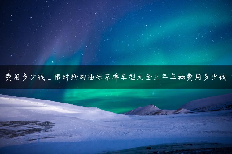 费用多少钱_限时抢购油标京牌车型大全三年车辆费用多少钱-金牌车友