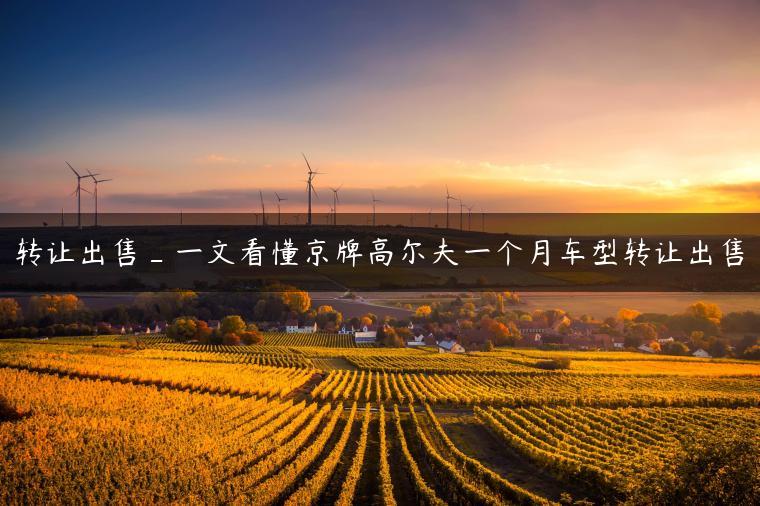 转让出售_一文看懂京牌高尔夫一个月车型转让出售
