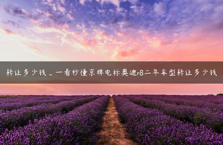 转让多少钱_一看秒懂京牌电标奥迪r8二年车型转让多少钱