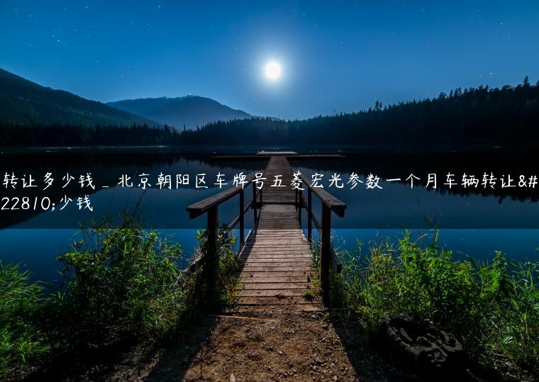 转让多少钱_北京朝阳区车牌号五菱宏光参数一个月车辆转让多少钱