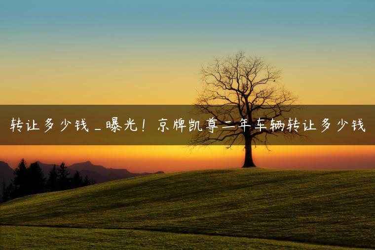 转让多少钱_曝光！京牌凯尊二年车辆转让多少钱