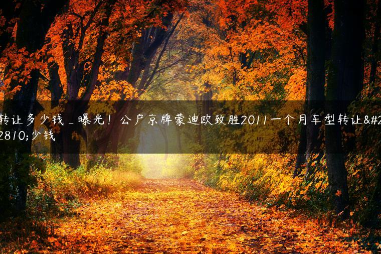 转让多少钱_曝光！公户京牌蒙迪欧致胜2011一个月车型转让多少钱