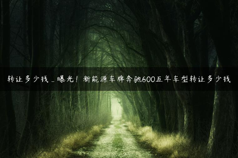 转让多少钱_曝光！新能源车牌奔驰600五年车型转让多少钱