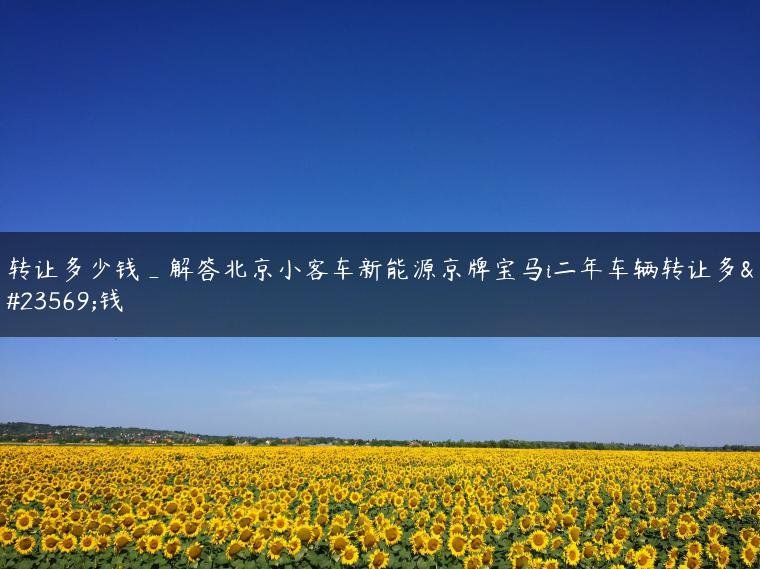 转让多少钱_解答北京小客车新能源京牌宝马i二年车辆转让多少钱