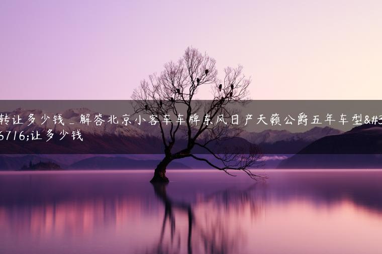 转让多少钱_解答北京小客车车牌东风日产天籁公爵五年车型转让多少钱