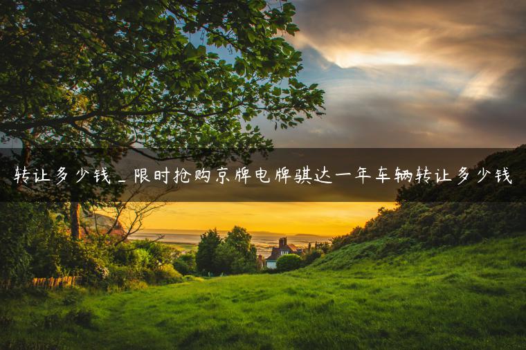 转让多少钱_限时抢购京牌电牌骐达一年车辆转让多少钱