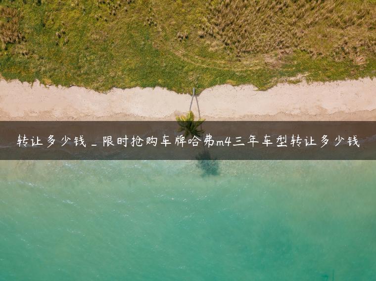 转让多少钱_限时抢购车牌哈弗m4三年车型转让多少钱