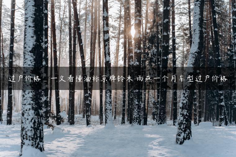 过户价格_一文看懂油标京牌铃木 雨燕一个月车型过户价格