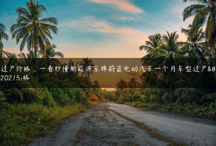 过户价格_一看秒懂新能源京牌蔚蓝电动汽车一个月车型过户价格