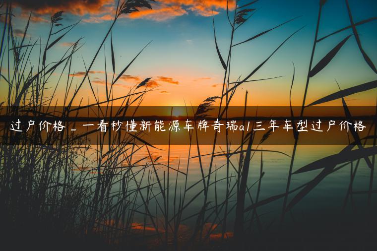 过户价格_一看秒懂新能源车牌奇瑞a1三年车型过户价格