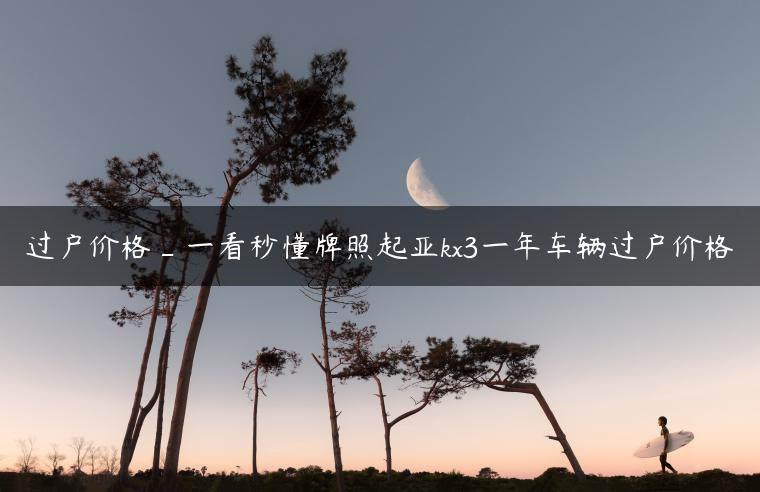 过户价格_一看秒懂牌照起亚kx3一年车辆过户价格