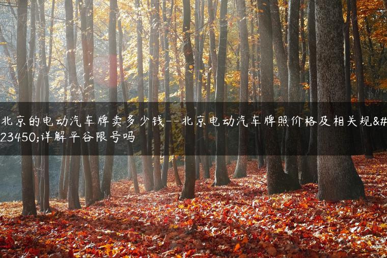 北京的电动汽车牌卖多少钱–北京电动汽车牌照价格及相关规定详解平谷限号吗
