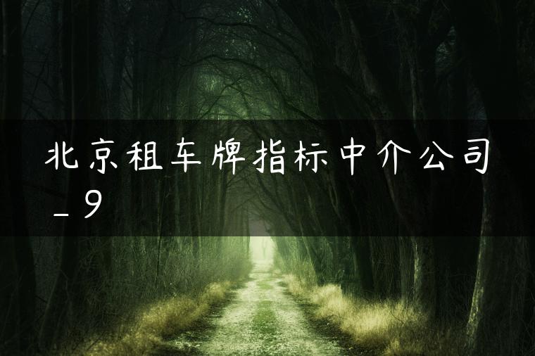 北京租车牌指标中介公司_9