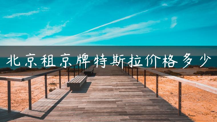 北京租京牌特斯拉价格多少