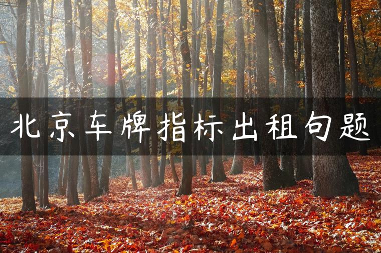 北京车牌指标出租句题