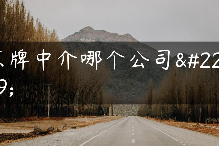 京牌中介哪个公司好