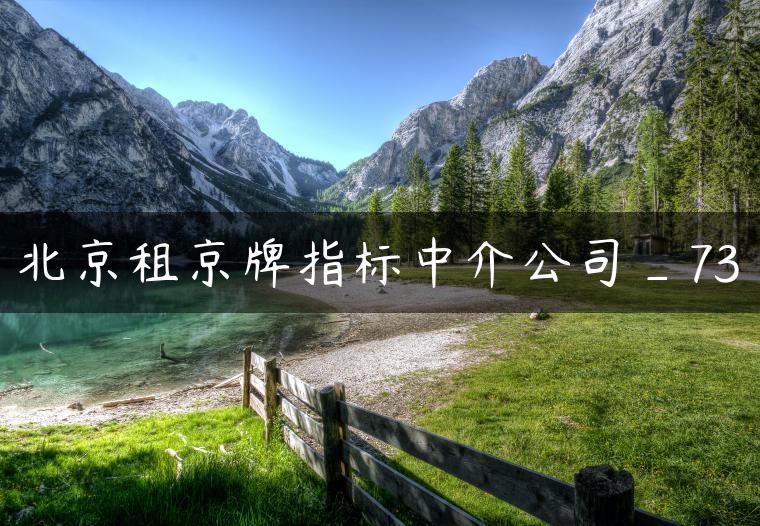 北京租京牌指标中介公司_73