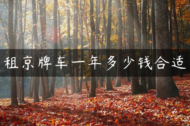 租京牌车一年多少钱合适