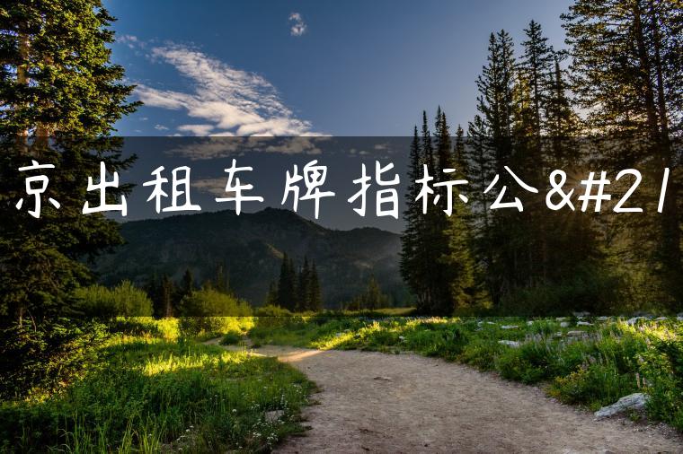 北京出租车牌指标公司
