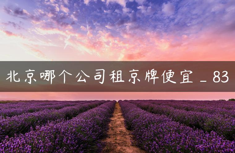 北京哪个公司租京牌便宜_83