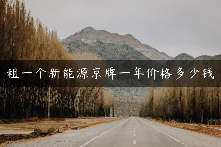租一个新能源京牌一年价格多少钱