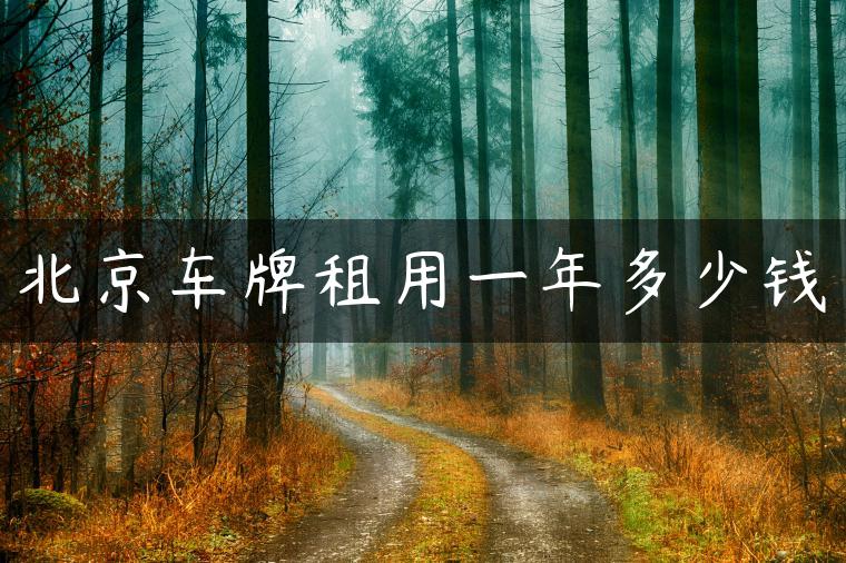 北京车牌租用一年多少钱