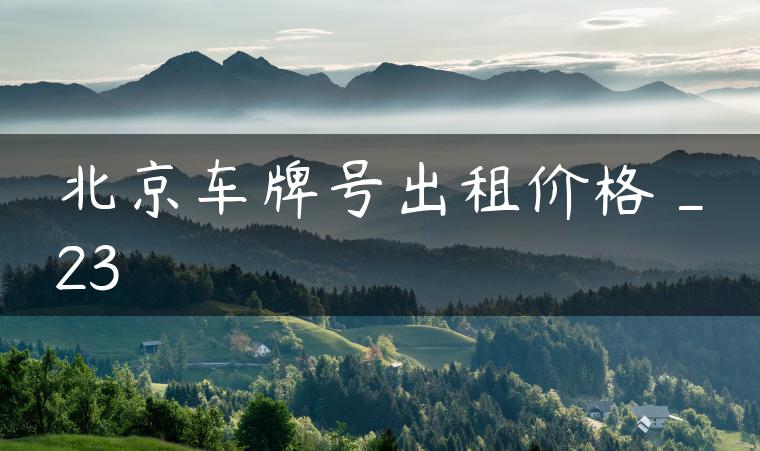 北京车牌号出租价格_23
