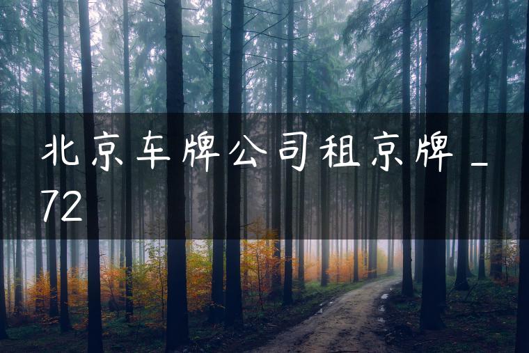 北京车牌公司租京牌_72