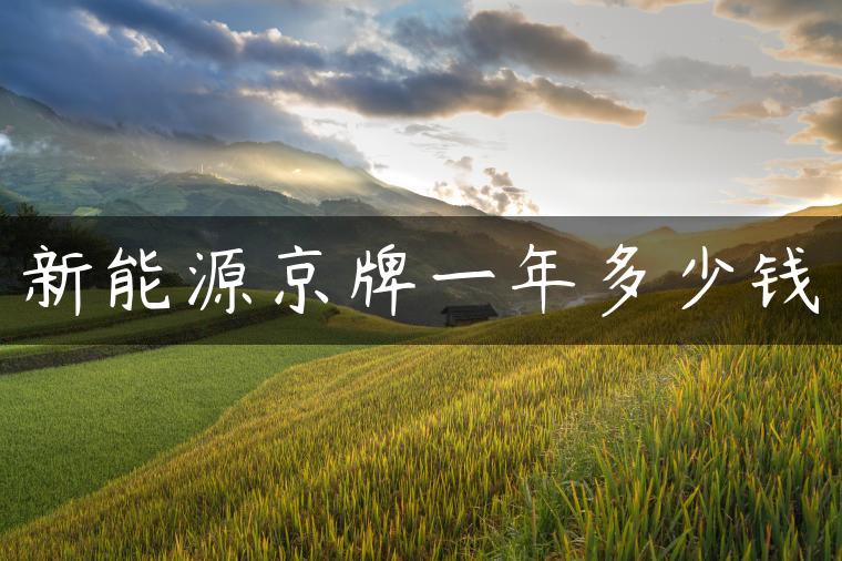 新能源京牌一年多少钱