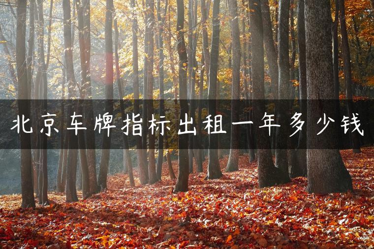 北京车牌指标出租一年多少钱