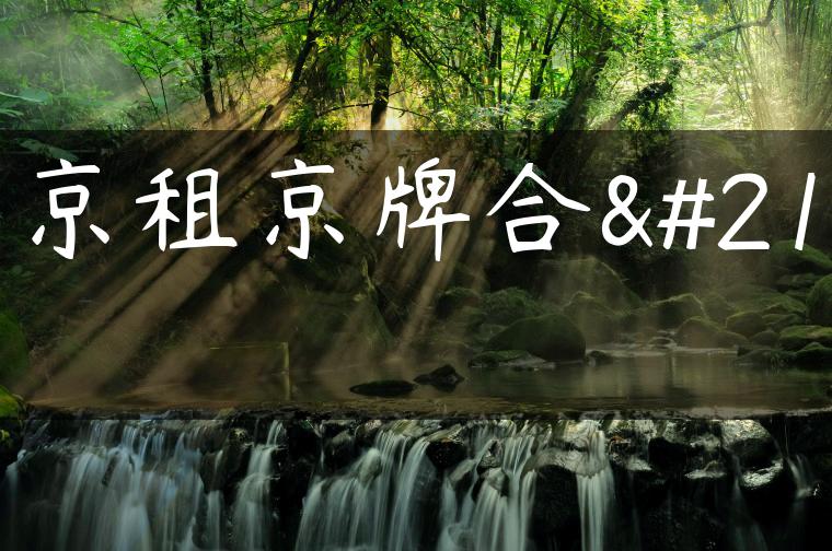 北京租京牌合同