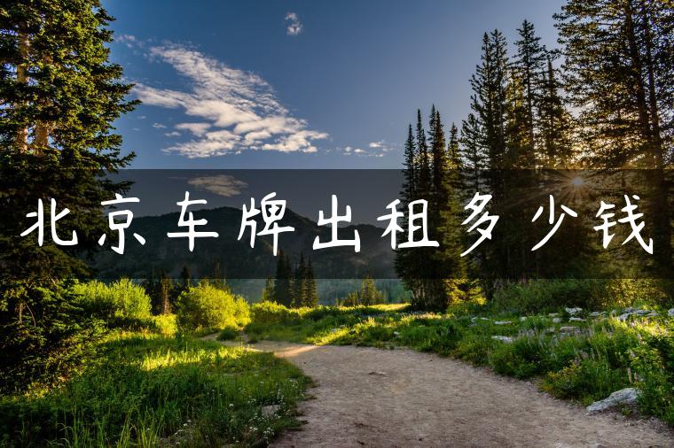 北京车牌出租多少钱