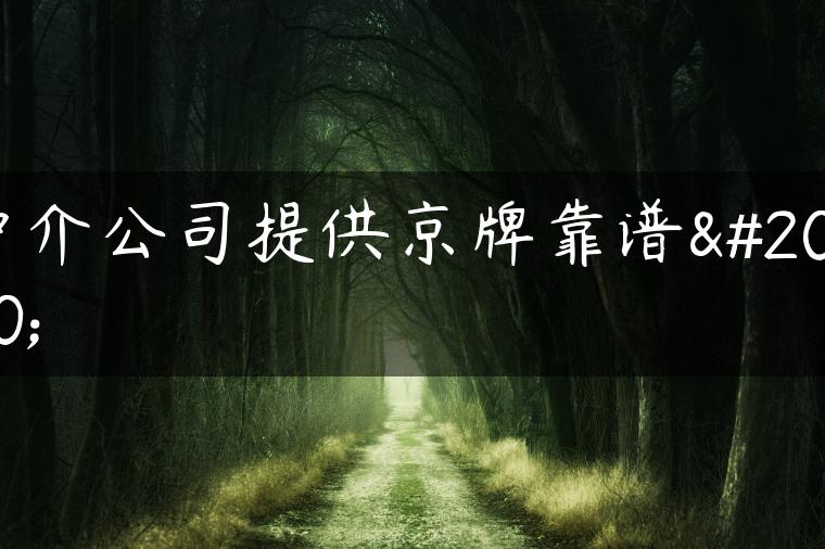 中介公司提供京牌靠谱么