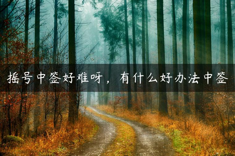 摇号中签好难呀，有什么好办法中签