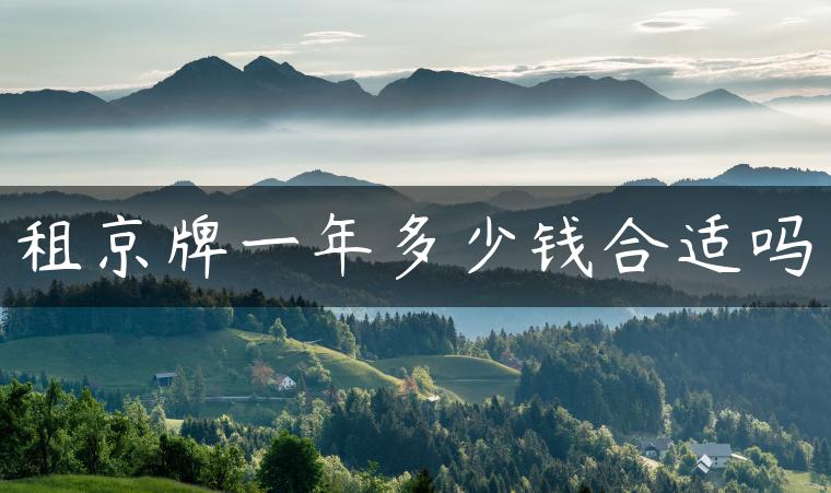 租京牌一年多少钱合适吗