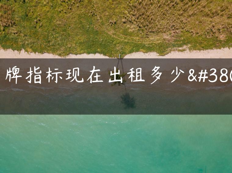 京牌指标现在出租多少钱