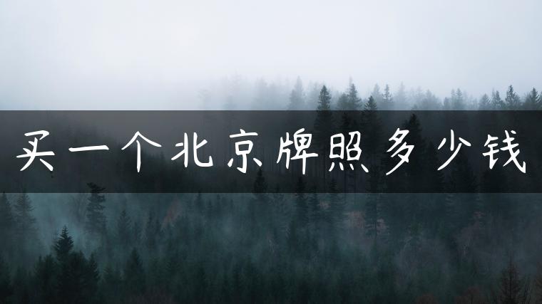 买一个北京牌照多少钱