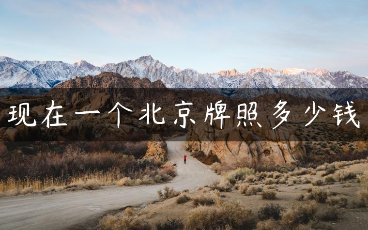 现在一个北京牌照多少钱