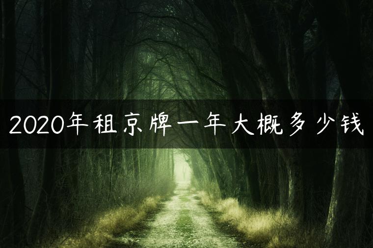 2020年租京牌一年大概多少钱