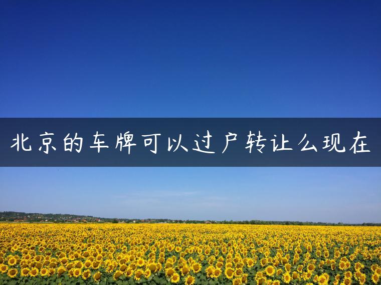 北京的车牌可以过户转让么现在