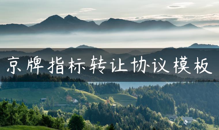 京牌指标转让协议模板