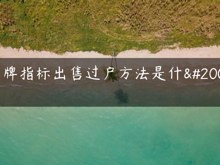 京牌指标出售过户方法是什么