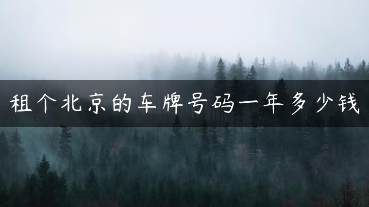 租个北京的车牌号码一年多少钱
