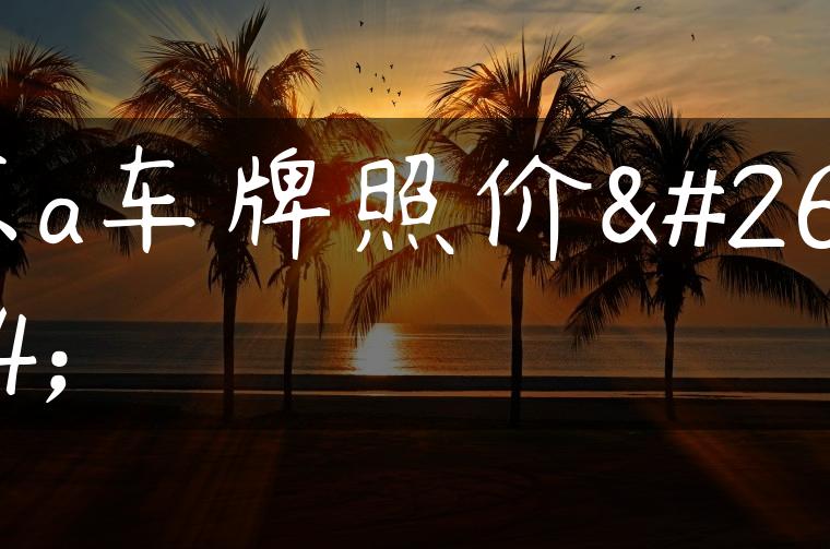 京a车牌照价格-金牌车友