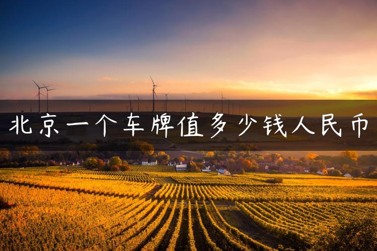 北京一个车牌值多少钱人民币