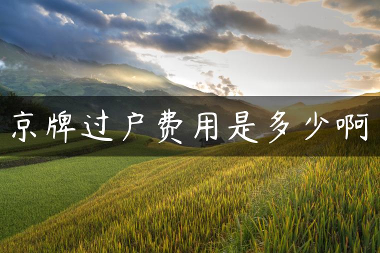 京牌过户费用是多少啊