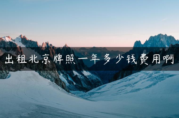 出租北京牌照一年多少钱费用啊