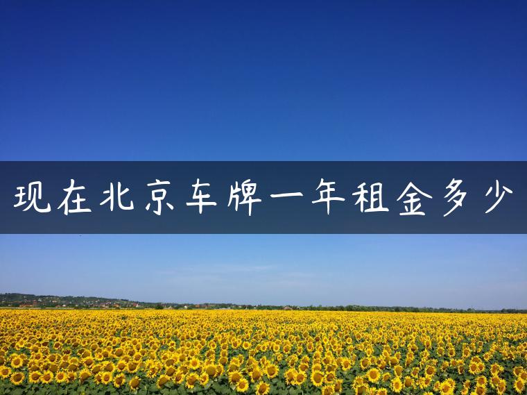 现在北京车牌一年租金多少