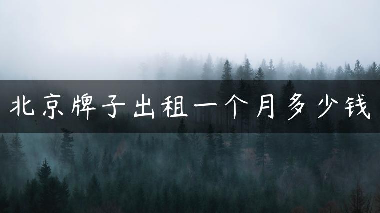 北京牌子出租一个月多少钱-金牌车友
