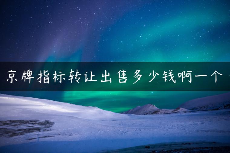 京牌指标转让出售多少钱啊一个